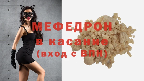хмурый Аркадак