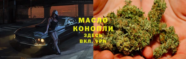 хмурый Аркадак