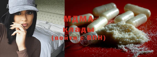 хмурый Аркадак