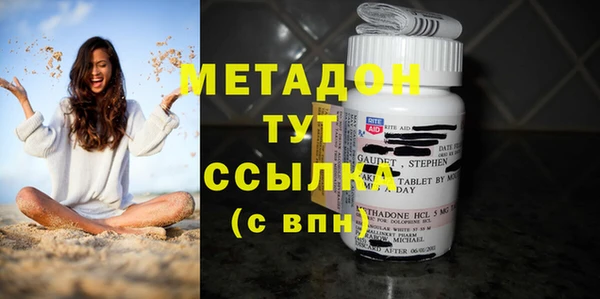 хмурый Аркадак