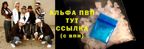 хмурый Аркадак