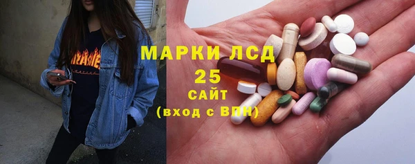 хмурый Аркадак