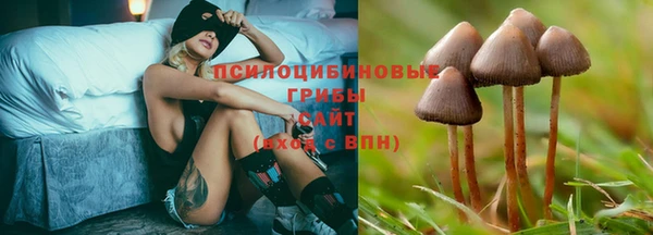 прущая мука Армянск