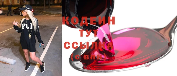 хмурый Аркадак