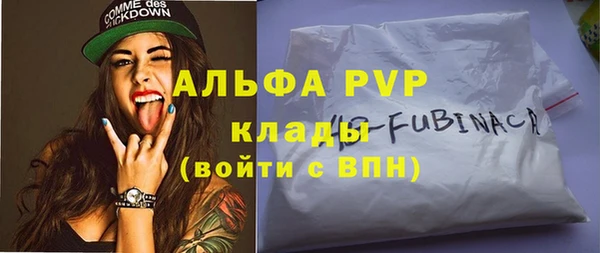 хмурый Аркадак
