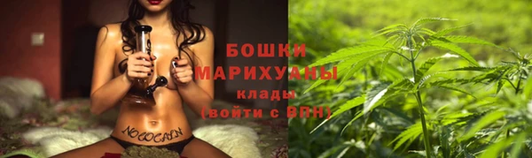 spice Арсеньев