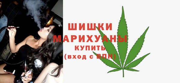 spice Арсеньев