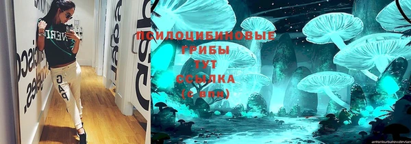 хмурый Аркадак