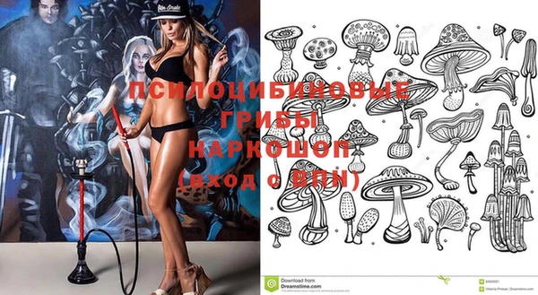 spice Арсеньев
