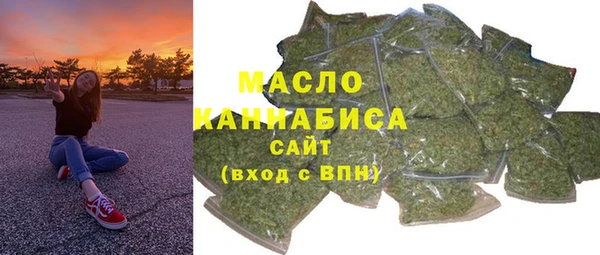 хмурый Аркадак