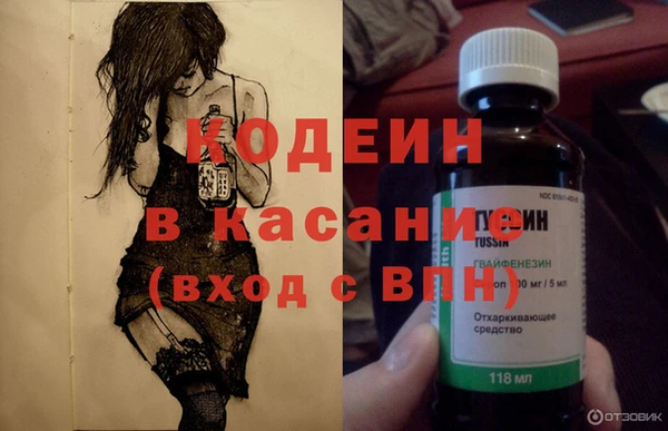 хмурый Аркадак