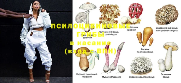 прущая мука Армянск